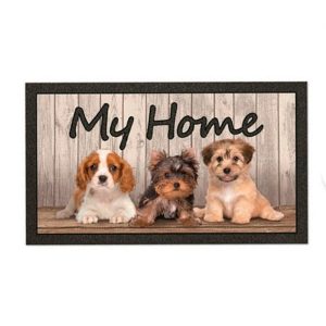 Felpudo Format 40x68 Cani My Home