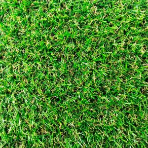 Cesped Artificial Coccoon 20mm