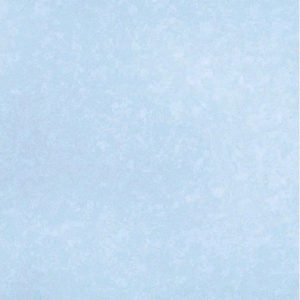 PAPEL PINTADO BLOOM 55308