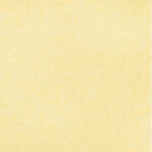 PAPEL PINTADO BLOOM 55314