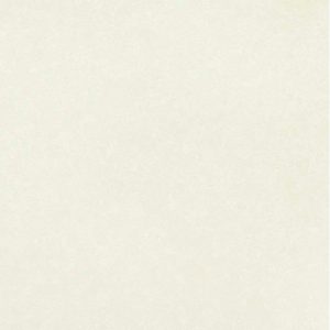 PAPEL PINTADO BLOOM 55321