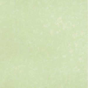 PAPEL PINTADO BLOOM 55323