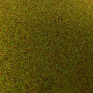 Parquet de corcho 4mm MonoVerde