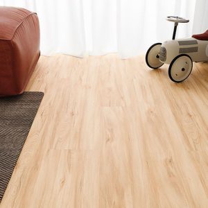 Faus Eco Arce Deva AC5