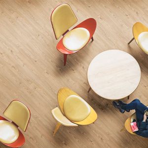 Faus Eco Castaño Azores AC5